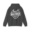 Hooded Sweatshirt Back Print 