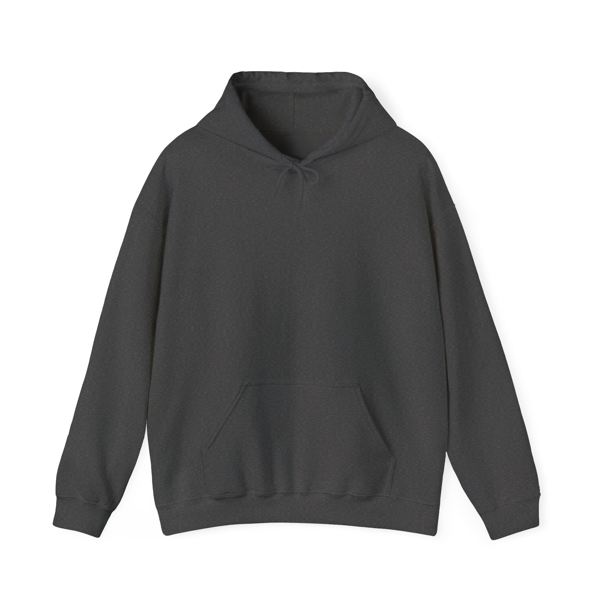 Hooded Sweatshirt Back Print "BALTREX"