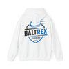 Hooded Sweatshirt Back Print 