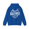 Hooded Sweatshirt Back Print 