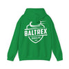 Hooded Sweatshirt Back Print 