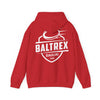 Hooded Sweatshirt Back Print 
