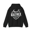 Hooded Sweatshirt Back Print 