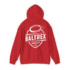Hooded Sweatshirt Back Print 