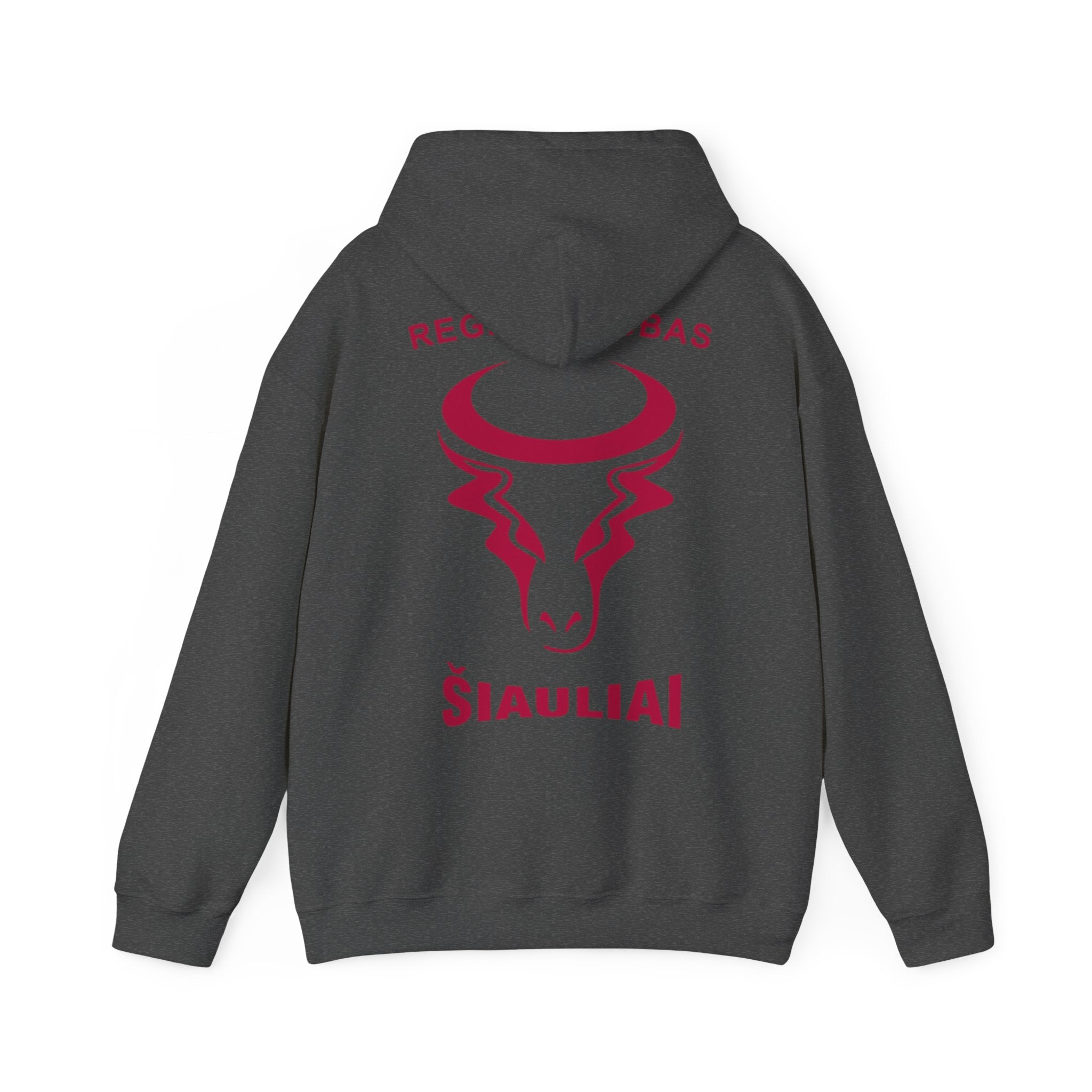 Hooded Sweatshirt Back Print "ŠIAULIAI"