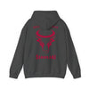 Hooded Sweatshirt Back Print 